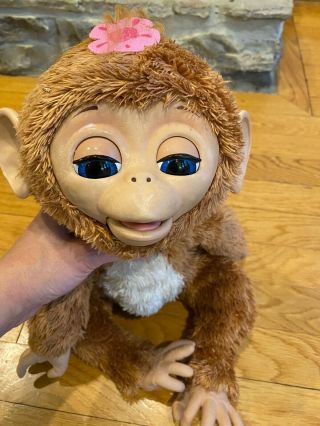 Hasbro FurReal Friends Cuddles My Giggly Monkey Interactive Pet 2012 2