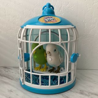2 Little Live Pets Tweet Talking Birds Parrots Love Birds Cage 2