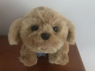 Little Live Pets Snuggles My Dream Puppy Brown Dog Plush Interactive Toy