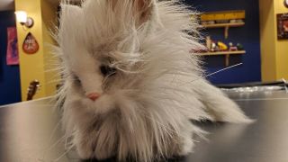 2002 Hasbro Tiger Electronics Furreal Friends White Persian Cat Everything