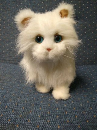2009 Furreal Friends White Cat Kitty Plush Toy Walks Purrs Interactive Hasbro