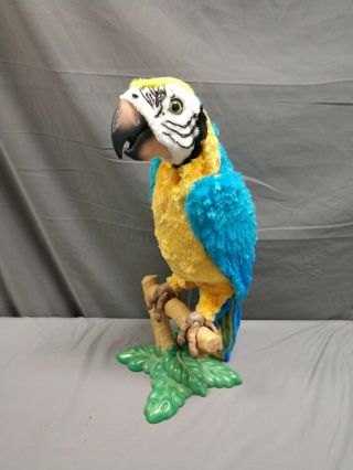 Furreal Friends Squawkers Mccaw Talking Parrot Hasbro Great