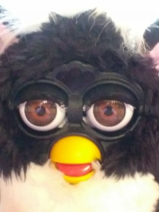 Collectible 1998 Electronic Furby Black And White Model 70 - 800 With Tags