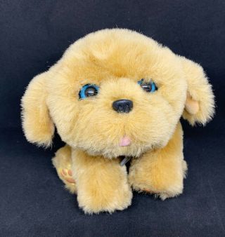 Little Live Pets Snuggles My Dream Puppy Brown Dog Plush Toy Electronic