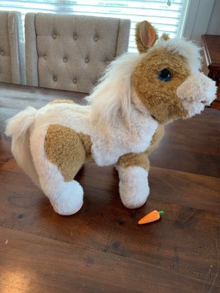 Furreal Friends Butterscotch My Show Pony 16” Interactive Horse Hasbro W Carrot