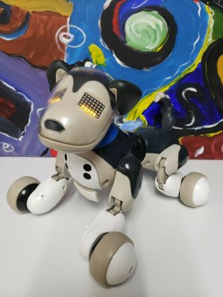 Spin Master Zoomer Dalmatian Black & White Puppy Dog Interactive 2012 Toy