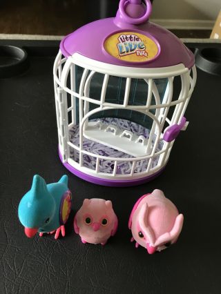Little Live Pets 3 Birds With Cage,  Pink And Blue