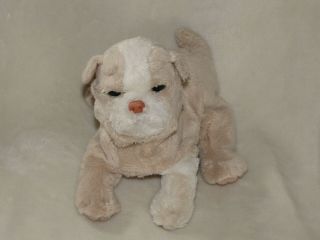 Furreal Friends 7 " Newborn Baby Beige/tan/white Dog Puppy 2003 Interactive
