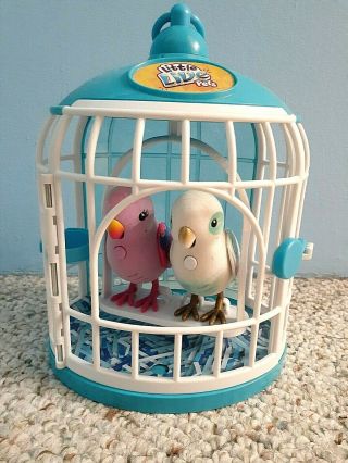 Little Live Pets Blue & Purple Talking Birds In Cage Euc Kids