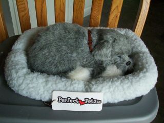 Perfect Petzzz Huggable Breathing Gray White Puppy Dog With Pet Bed