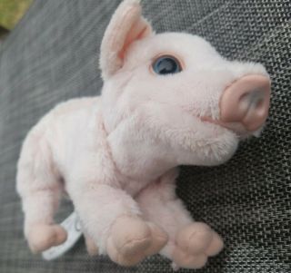FURREAL Newborn Baby PIG Piglet 2008 MOVES OINKS 7 