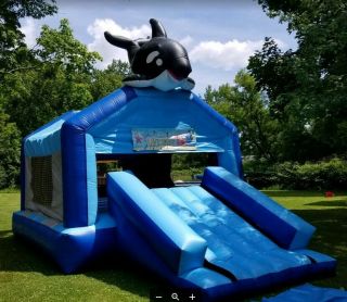 Commercial Bounce House With Slide And Blower