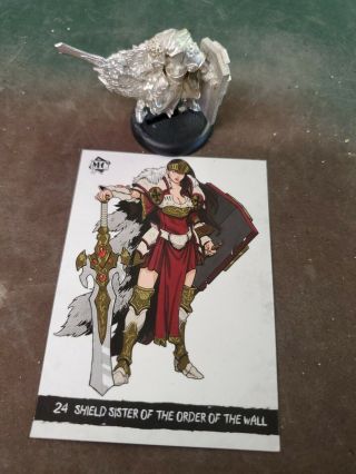 Privateer Press Warmachine Minicrate 24 Shield Sister Of The Order Of The Wall