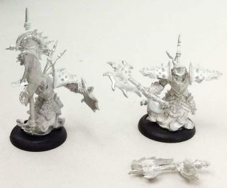 Privateer Press Warmachine Cryx Bane Thrall Officer & Standard 13 Nm