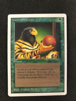 Natural Selection Unlimited Magic The Gathering Mtg Near Nm