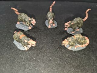 Dwarven Forge Rat Miniatures (5)