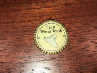 True Dungeon Token Frost Worm Tooth Monster Trophy Bit Ingredient