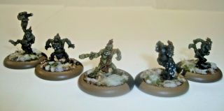 Warmachine Hordes Trollbloods Whelp Solos (5 Models) Well Painted And Based