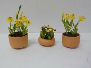 Pola Three Pots With Multi - Colored Flowers G Scale