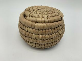 Vintage Small Native American Woven Basket With Lid Size: 3 - 1/2 " Wide 3 " Deep