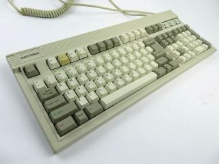 Focus / Magitronic FK - 2000 Plus Vintage Keyboard White Alps SKCM Clicky 2