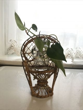 Vintage 1970s Peacock Wicker Rattan 8” Fan Back Chair Or Plant Stand