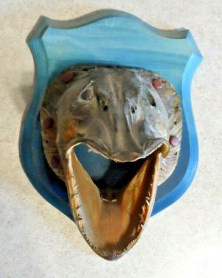 Willie The One - Eyed Pike Head Homemade Mount 1955 Vintage 44 " Taxidermy Fish