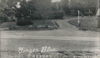 Noel,  Mo Ginger Blue Resort Mcdonald County Missouri Chrome Postcard Vintage