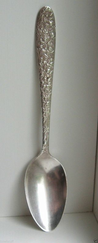 Vintage National Sterling Silver Co Narcissus Teaspoon