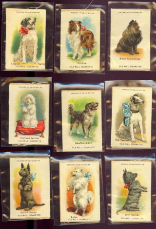 1910 Old Mill Cigarette Tobacco Silk S4 Breeds Of Dogs Full Set (25)