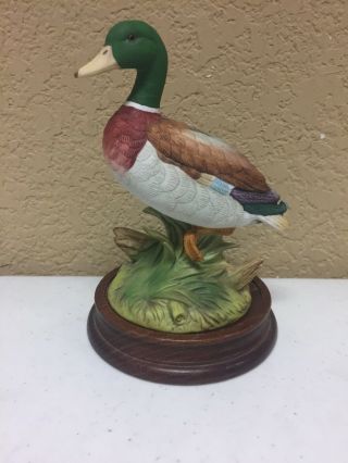 Mallard Duck Vintage Andrea By Sadek Collectible Bird Porcelain Figurine Statue