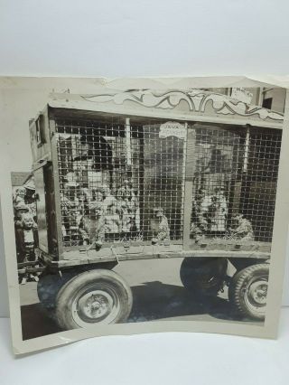 Rare Vintages Circus Monkey In Wagons For The 50 ' s Photos Black And White (cc) 3