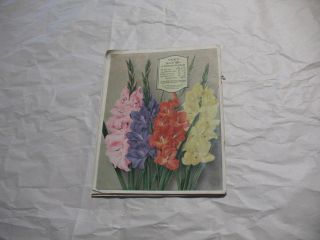 Vintage Spring 1929 Vick ' s Garden & Floral Guide,  James Vick ' s Sons Rochester NY 2