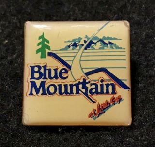 Blue Mountain At Little Gap Vintage Skiing Pin Pennsylvania Resort Travel Lapel