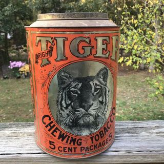 Antique Rare Tiger Chewing Tobacco Large Tin General Store Counter Canister