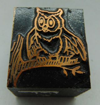 Vintage Printing Letterpress Printers Block Owl Sitting On Tree Branh