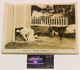 Alice Day " Cold Turkey " Rare Vintage 1925 Mack Sennett Press Photo (2)