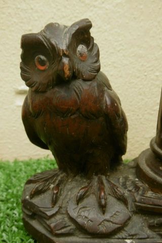 19thc Black Forest Oak Carved Glass - Eyed Owl Figure With Match Holder