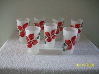 Vintage Blue Ridge Pottery Red Floral Pattern Glass Tumblers Qty 7