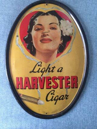 Antique Light A Harvester Cigar Tin Oval Advertising Sign Great Color