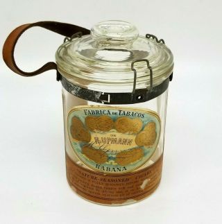 Vintage Pre - Embargo Cuban Upmann Glass Cigar Humidor W Leather Handle