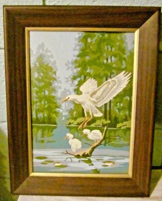 Vintage Mid Century Birds Paint - By - Numbers Framed