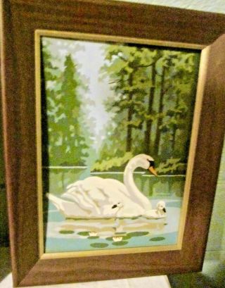 VINTAGE MID CENTURY BIRDS PAINT - by - NUMBERS FRAMED 2