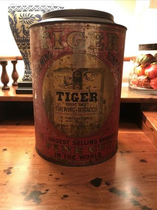 Vintage Tiger Bright Sweet Chewing Tobacco Display Graphic Tin Litho Can