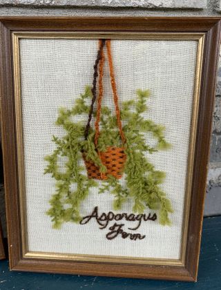 Vintage Crewel Embroidery Asparagus Fern Finished 9 Inch Framed