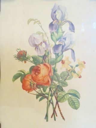 Vintage Jean Louis J L PREVOST Floral Flower Bouquet Picture Print Wood Frame 3