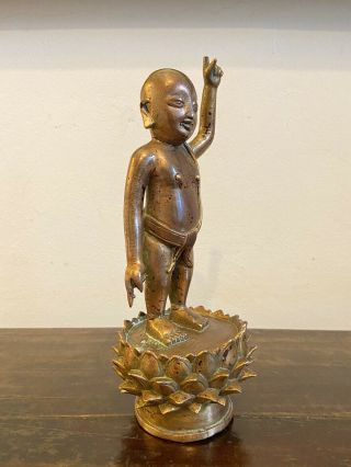 A fine & rare Chinese gilt bronze Buddha statue.  Ming/Qing - Like Tibetan,  Indian 5