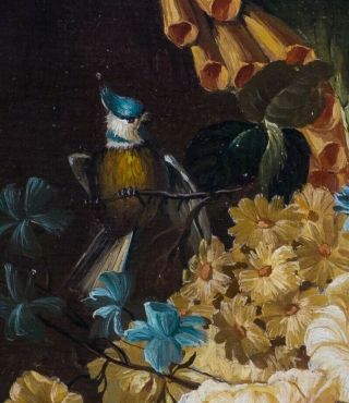 17th Century Dutch Old Master Still Life Flowers Rachel RUYSCH (1664 - 1750) 5