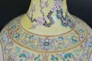 Antique Chinese Yellow Ground Famille Rose Vase,  18th Century Chinese Antique 6