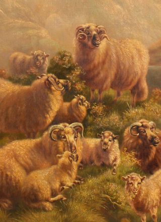 Large 19thC Antique ROBERT WATSON Scottish Highland Sheep Landscape Oil Painting 3